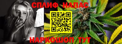Альфа ПВП Моздок