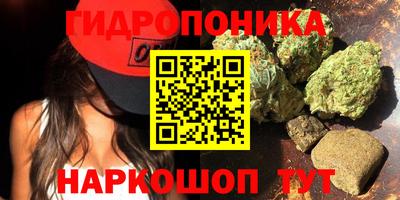 хмурый Можга
