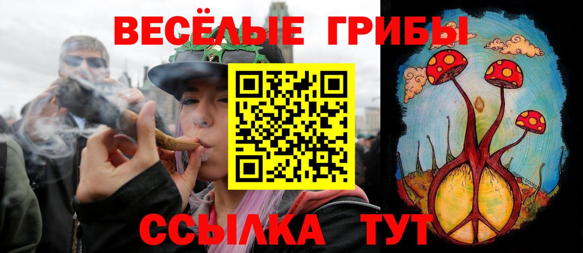 Псилоцибиновые грибы прущие грибы Среднеуральск